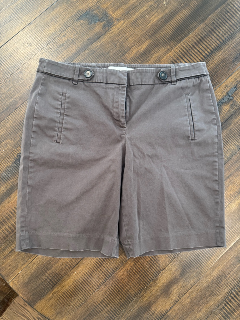 LOFT Brown Flat-Front Women's Shorts